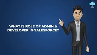 What Is Job Of Admin & Developer In Salesforce?