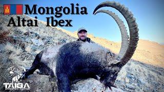 Hunting in Mongolia - Altai Ibex Double!