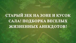 Старый Зек На Зоне и Кусок Сала! Подборка Веселых Жизненных Анекдотов!