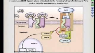 Hepcidin- the Most Important Hormone You Don't Know About 5/27/15