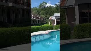 #jimcorbett  #viral #video #views #neturalvideo #topvideos