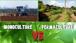 Monoculture farming Vs Permaculture - Which has a future?