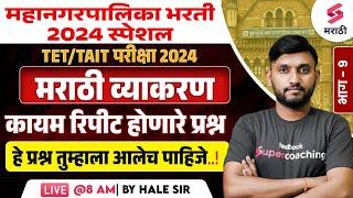 महानगरपालिका भरती 2024 Marathi Grammar MCQs - Frequently Repeated Questions - 9| TET/TAIT 2024 |Hale