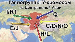 Гаплогруппы Y-ДНК из Центральной Азии. Филогения Y-хромосом в свете новых данных