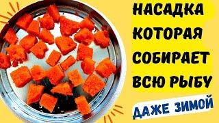 Несбиваемая насадка для рыбалки, которая собирает много рыбы даже зимой. @Roma_Luk