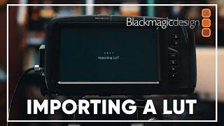 Importing a LUT Into Your BMPCC4K or 6K + FREE LUT