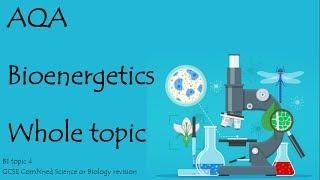 The whole AQA BIOENERGETICS. 9-1 GCSE Biology or combined science for paper 1