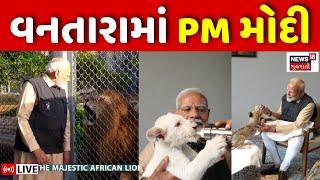 🟠PM Modi Vantara Visit LIVE | જામનગરમાં વનતારાની મુલાકાતે PM મોદી | Jamnagar | News18 | Vantara