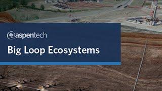 The Big Loop Ecosystem