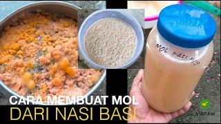 Cara Membuat MOL Dari Nasi Basi