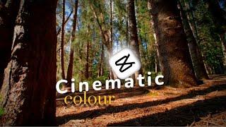 Master Cinematic Color Grading in Capcut| #capcut