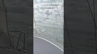 Mirage 5.5 sail Tampa bay! #sailboat #sail #sailing #sailor #2023 #adventure #boating #beach #boat