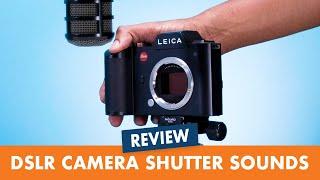 Who has the best shutter sound! *Camera ASMR*