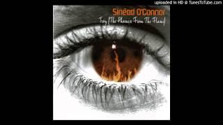 Sinéad O'Connor - Troy (The Phoenix From The Flame) (Andi Durrant "Dublin In A Rainstorm" Mix)