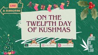 12th Day of Kushmas | Live Dab Session & Community Hangout