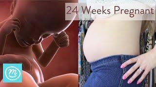 24 Weeks Pregnant: What You Need To Know - Channel Mum