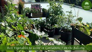 Best Vegetables to Grow in Containers / on the Balcony | What to Grow on the Balcony