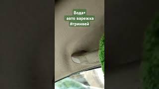 отмыть #авто: вода+ варежка #гринвей