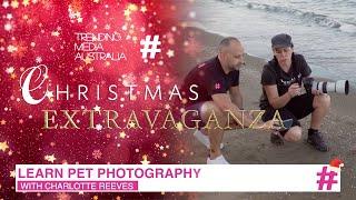 Pet Photography Tips with Charlotte Reeves | Christmas Extravaganza