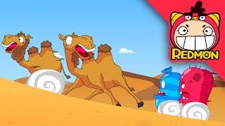 Find earth (Help camel) | Animal rescue corps #01 | REDMON