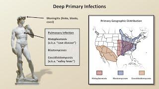 An Overview of Fungal Infections (Fungal Infections - Lesson 2)