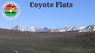 Coyote Flats 2020