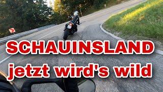 Schauinsland // hoch hinaus mit dem Motorrad #motovlog #motorrad #schwarzwald