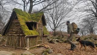 Wilderness Survival: Building a Log Cabin with Bushcraft Skills | Primitive Techniques in The Forest