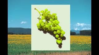 [FREE FOR PROFIT] Lucky Daye Type Beat 2022 - BELLY FULL OF GRAPES