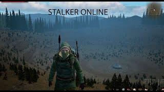 Stalker Online/Stay Out/Steam: Отставной Полковник