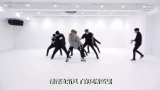 【中字】BTS (防彈少年團) - 피 땀 눈물 (Blood Sweat & Tears / 血汗淚水) Dance Practice 舞蹈室版本