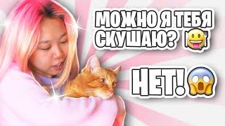 Симбу чуть не скушал хомячок | Едем в гости к Yolo House