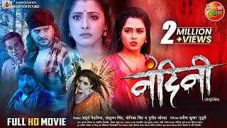Nandini ( नंदिनी ) | #Full_Movie | #Gaurav Jha, #SanchitaBanerjee #RichaDixit | New Bhojpuri Film