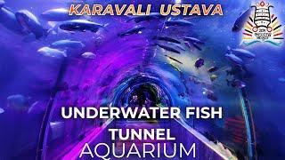 AQUARIUM | UnderWater Fish Tunnel Expo at Karavali ustava 2024 Mangalore ಕರಾವಳಿ ಉತ್ಸವ #fishtunnel