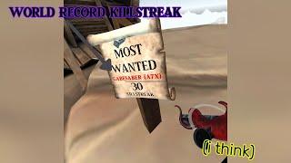 Getting the WORLD RECORD for best killstreak in SAIL VR