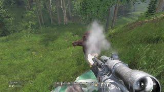 DayZ - your 10th bear is still scary