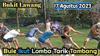 Kocak! Bule Lomba Tarik Tambang 17 Agustus 2023 Di Wisata Bukit Lawang, Sumatera Utara - HUT RI 78