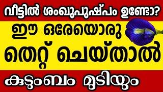 വീട്ടിൽ ശംഖുപുഷ്പം ഉള്ളവർ ഈ ഒരു തെറ്റ് മാത്രം ചെയ്യരുതേ കുടുംബം തീർന്നു പോകും vastu malayalam