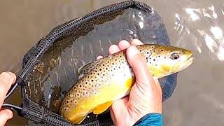 Tenkara in the Iowa Driftless - Vlog #27