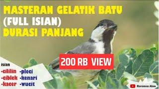 Masteran Gelatik Batu Full Isian Durasi Panjang