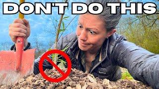 12 Planting MISTAKES Killing Your Fruit Trees