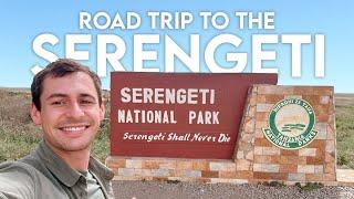 Tanzania Safari VLOG - Driving from Tarangire to the Serengeti (Pioneer Camp)