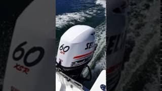 Selva Dorado 60 XSR Acceleration testing