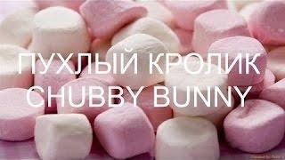 CHUBBY BUNNY CHALLENGE / ПУХЛЫЙ КРОЛИК