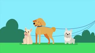 Animated Explainer Video by Inovit - Pet services