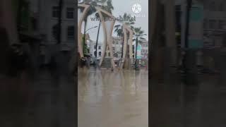 Banjir bekasi ada ular super besar masuk perumahan