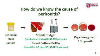 Putra Amazing Agar