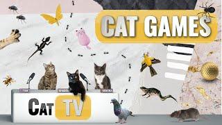 Cat Games | Ultimate Cat TV Compilation Vol 14 | 2 HOURS ️