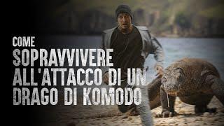 Come Sopravvivere all'Attacco di un Drago di Komodo