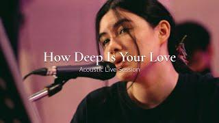 SAMMii - How Deep Is Your Love (Acoustic Live Session)